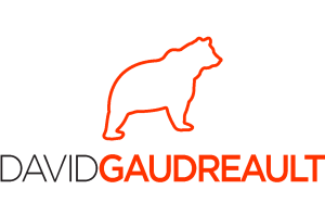 Logo David Gaudreault - Branding Personnel - Notoriété - Visibilité - Pouvoir d'influence