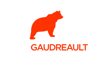Logo David Gaudreault - Branding Personnel - Notoriété - Visibilité - Pouvoir d'influence